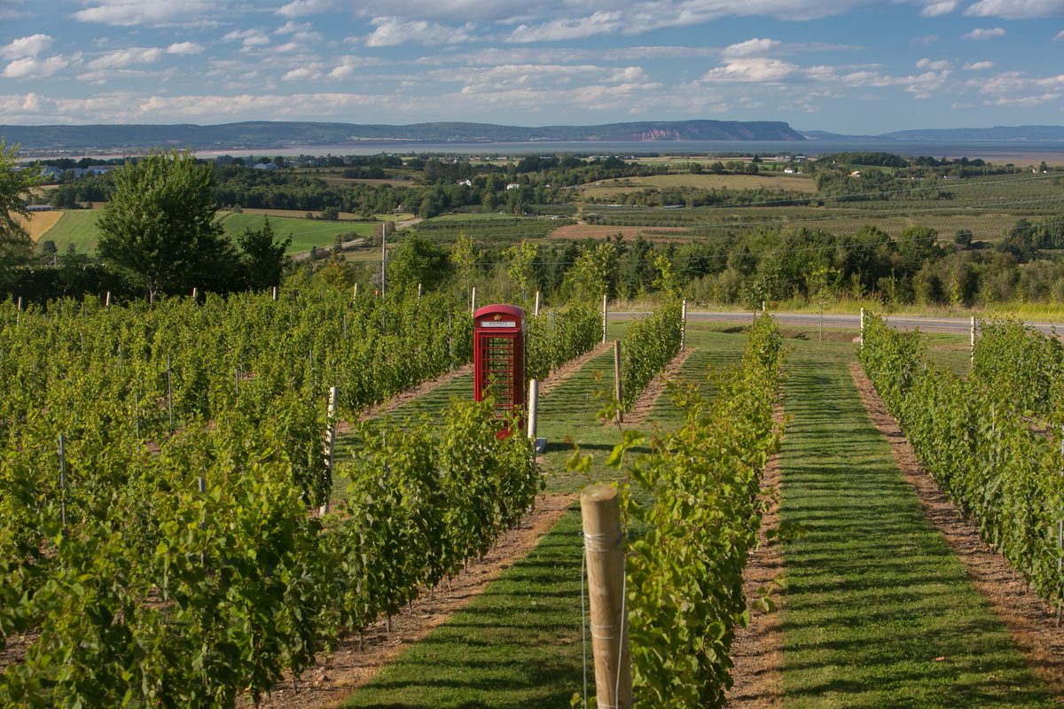 Wolfville & Annapolis Valley